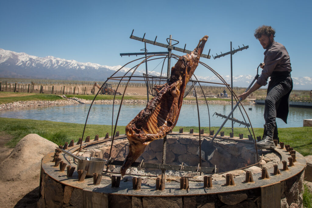 The Vines of Mendoza (106)