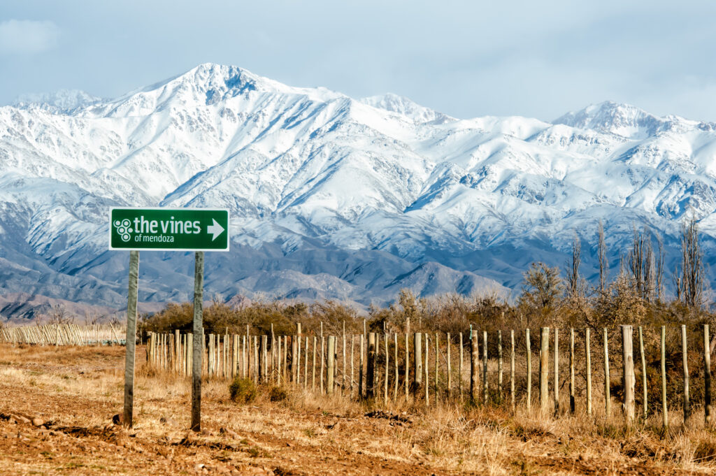 The Vines of Mendoza (17)