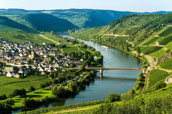 MOSEL-web-3