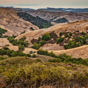 April 2-5 Paso Robles Blending Escape