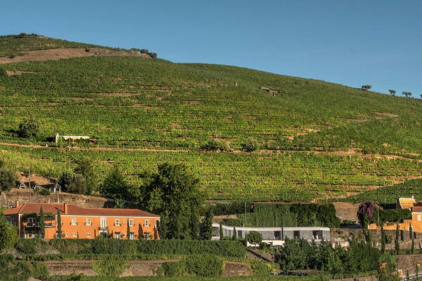dia-2-douro-32