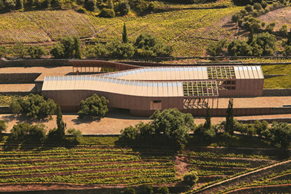 dia-2-douro-34