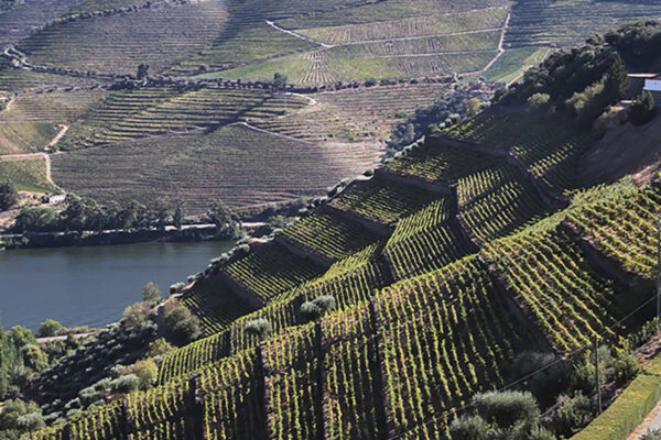 dia-3-douro-38