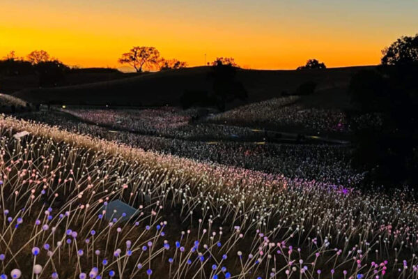 paso-Robles-web-55