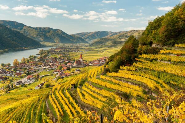austria-dia-2_1
