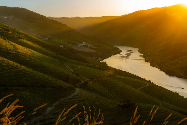 douro7