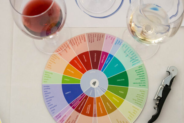 itinerario-wine-pro-3