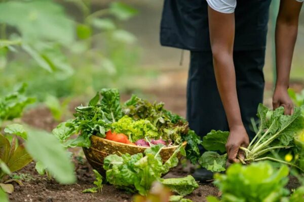 rwanda-itinerary-day-5-3