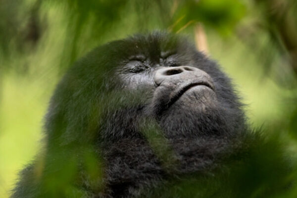 rwanda-itinerary-day3-1